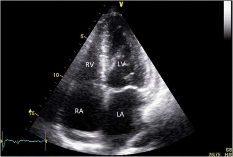 Fig. 7