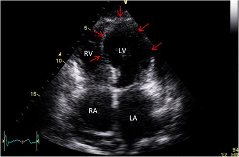 Fig. 5