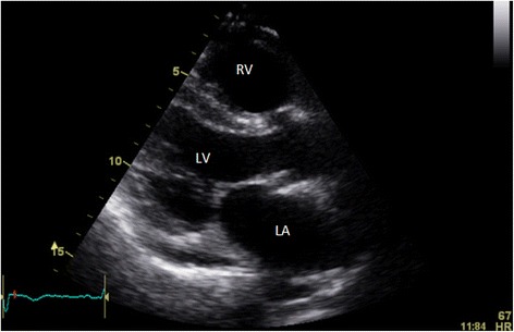 Fig. 8