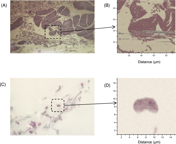 Fig. 6