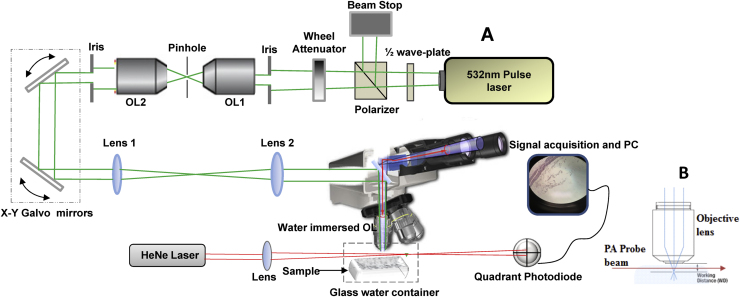 Fig. 1