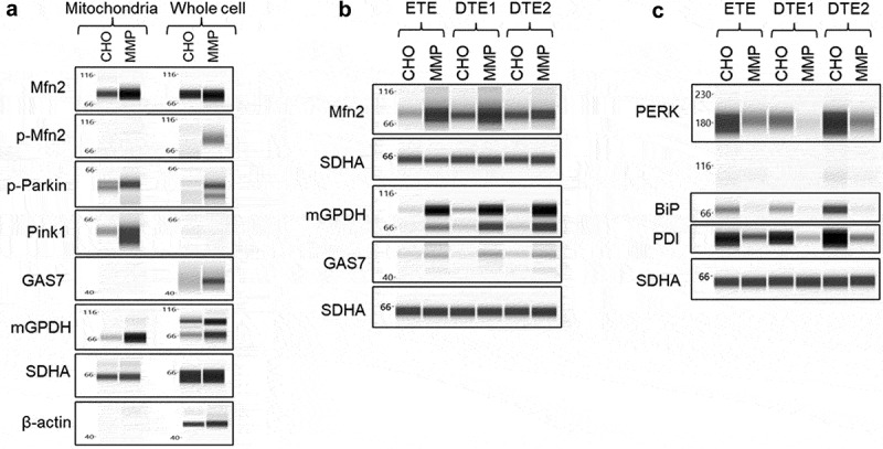 Figure 10.