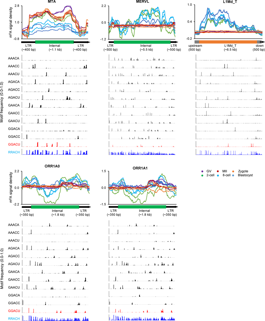 Extended Data Fig. 7 |