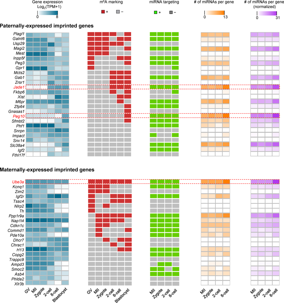 Extended Data Fig. 4 |