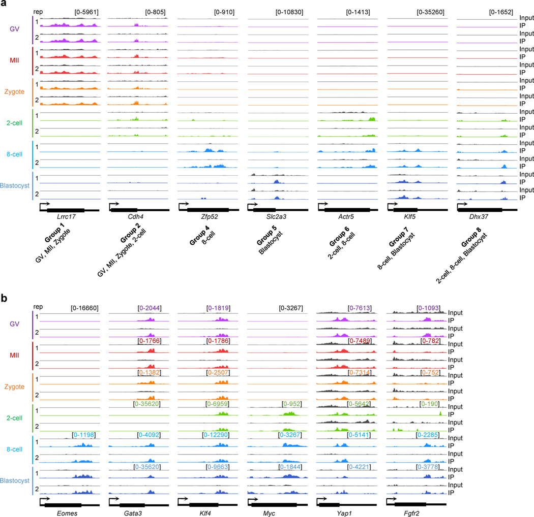 Extended Data Fig. 2 |