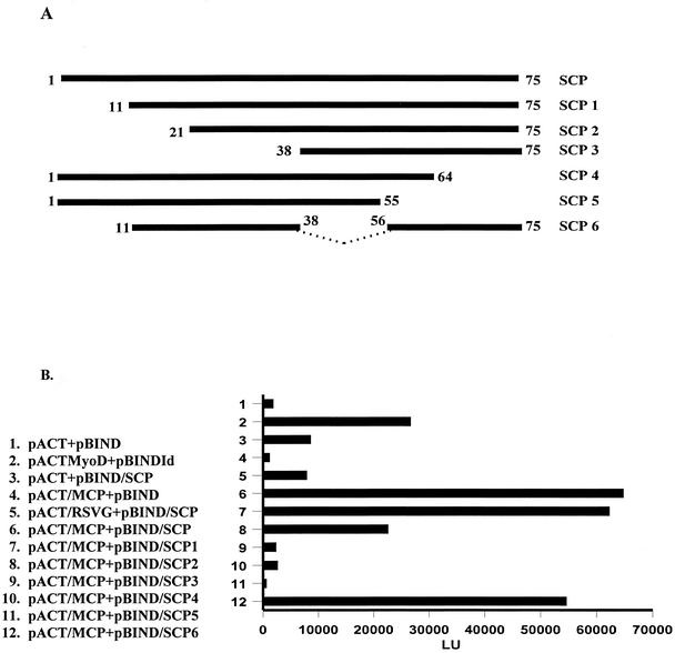 FIG. 3.