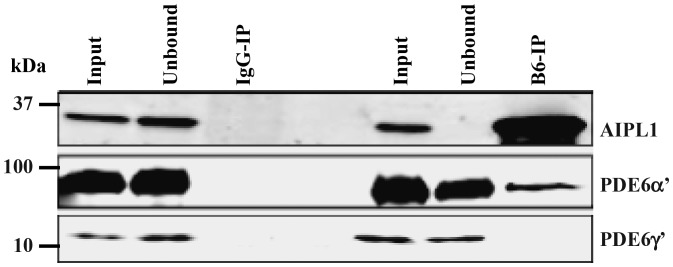 Figure 4.