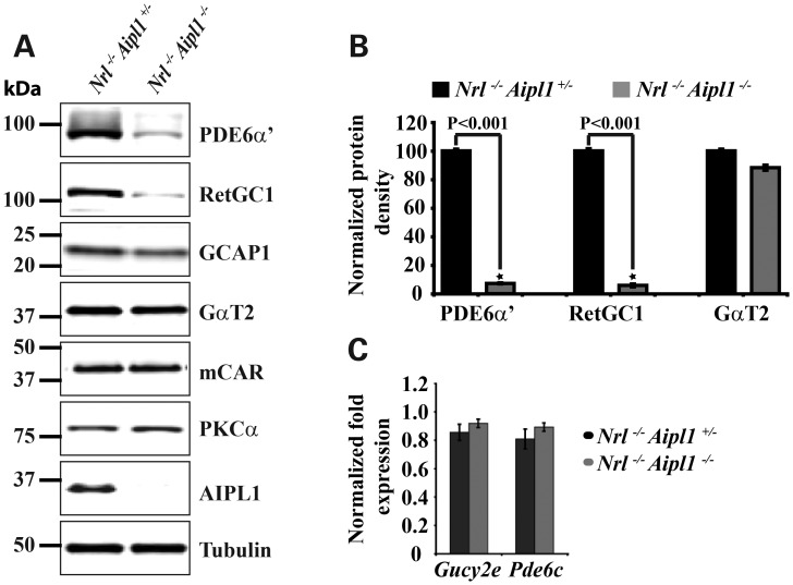 Figure 3.