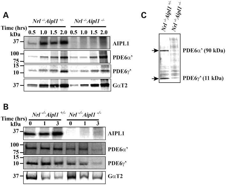 Figure 5.