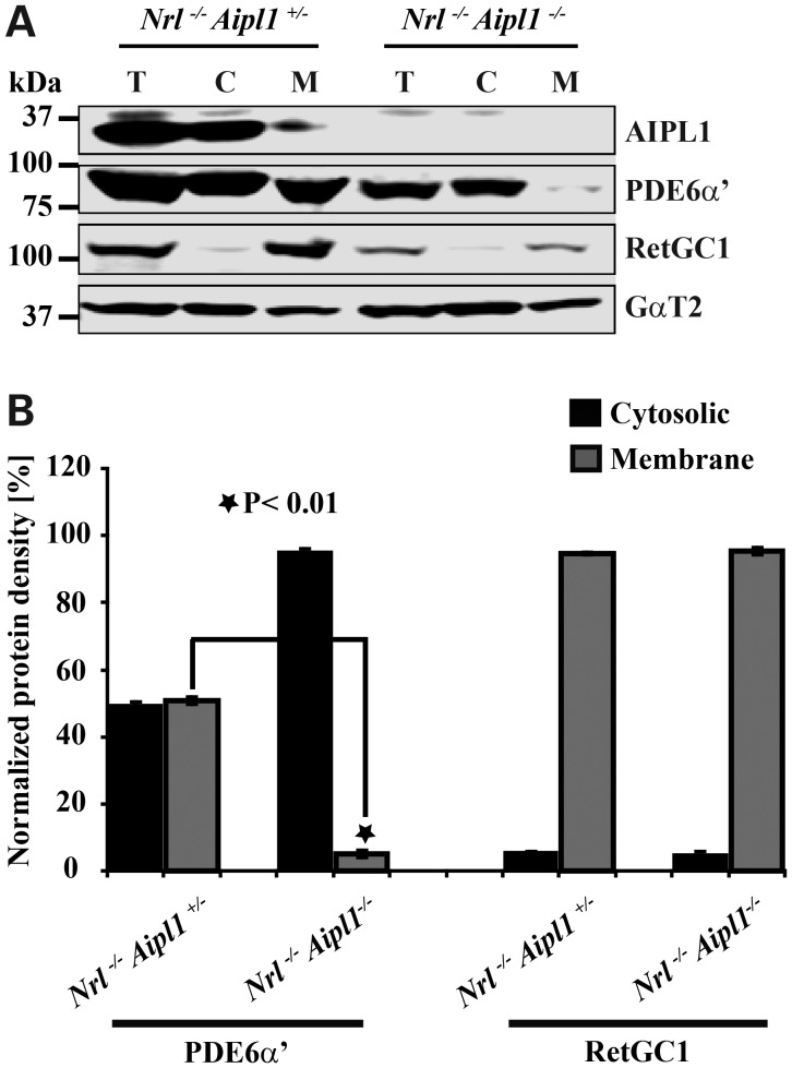 Figure 6.