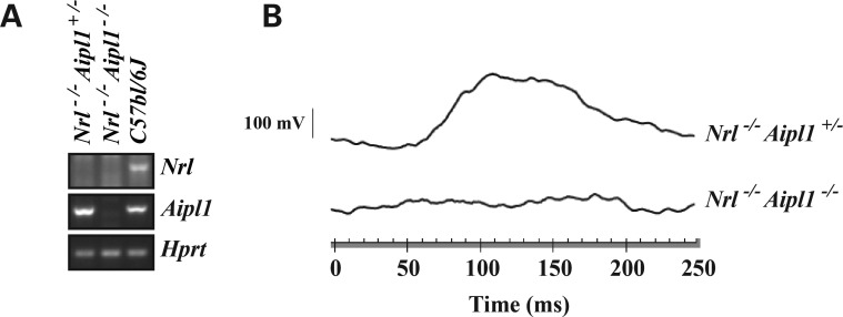 Figure 1.