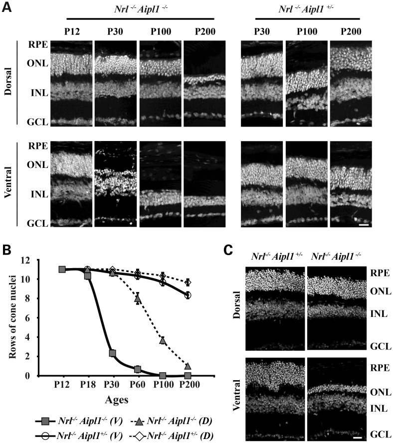 Figure 2.