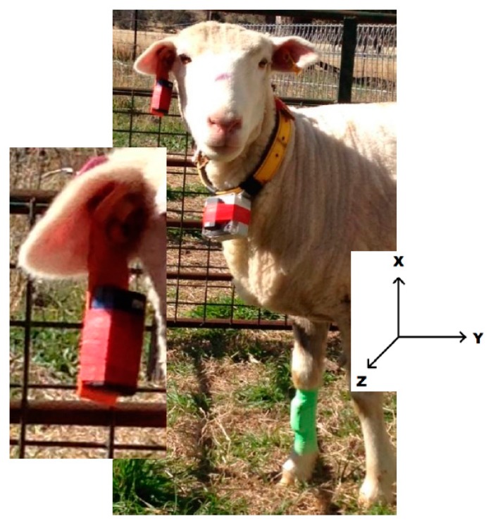 Figure 1