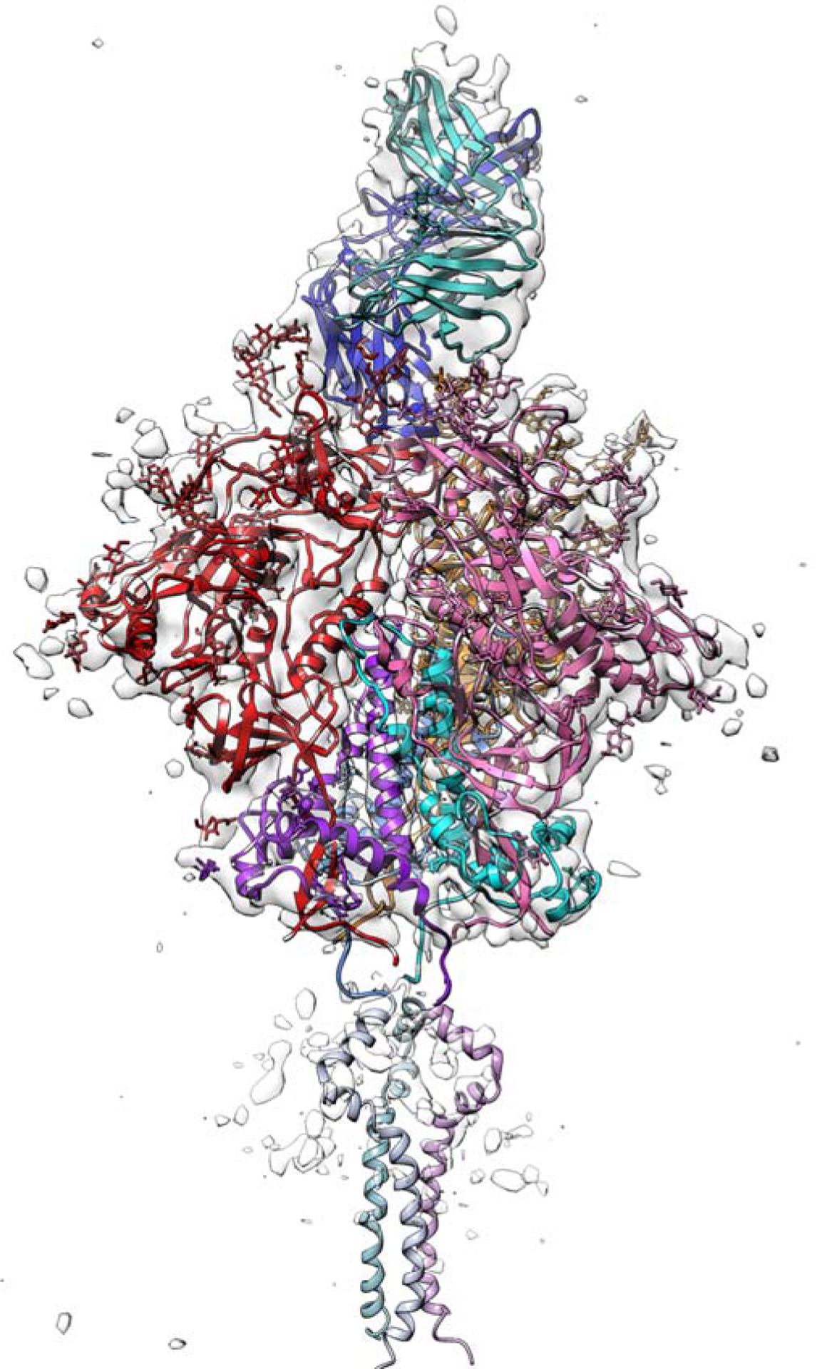 Figure 1.