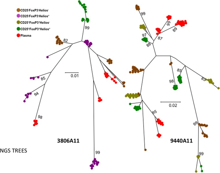 FIG 6