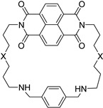 graphic file with name molecules-24-00426-i050.jpg