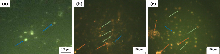 Fig 11
