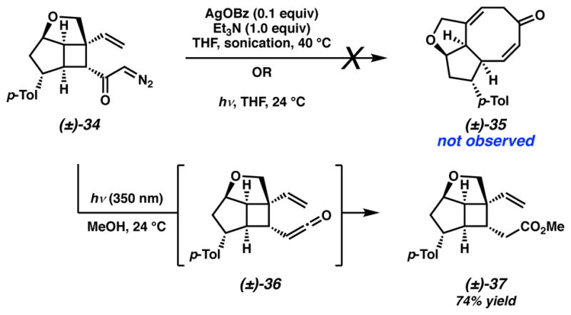 Scheme 6