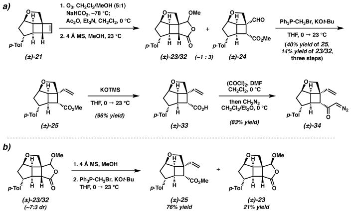 Scheme 5