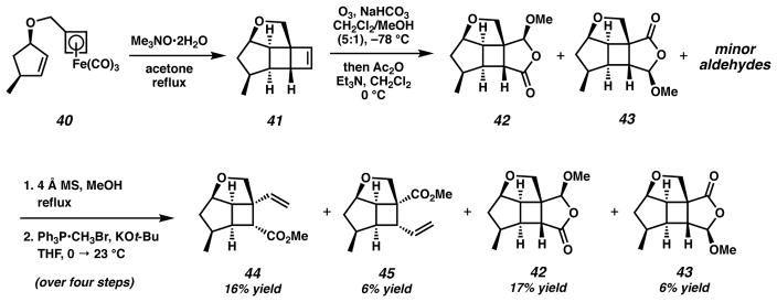 Scheme 9