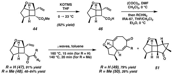 Scheme 10