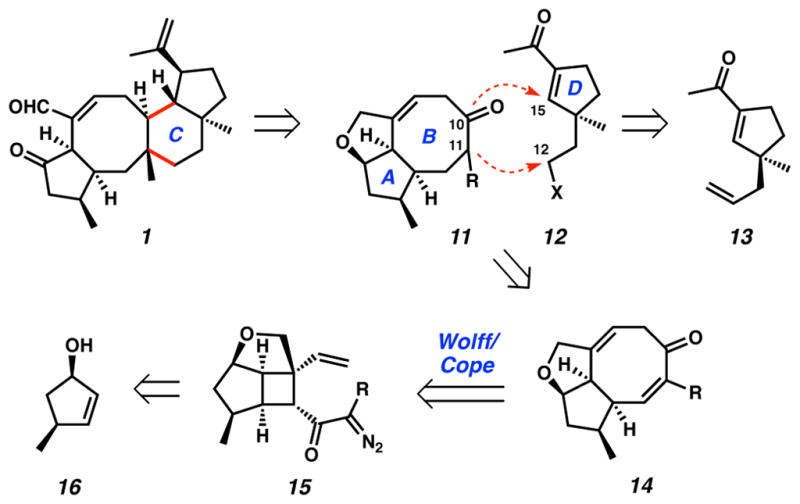 Scheme 1