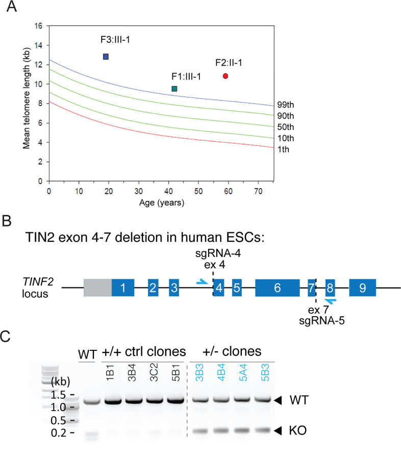 Figure 5—figure supplement 1.