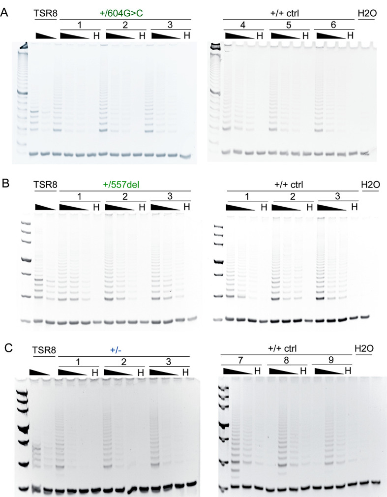 Figure 5—figure supplement 3.