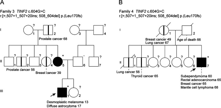 Figure 1—figure supplement 1.