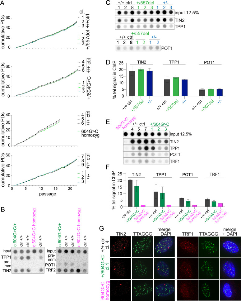 Figure 4—figure supplement 5.