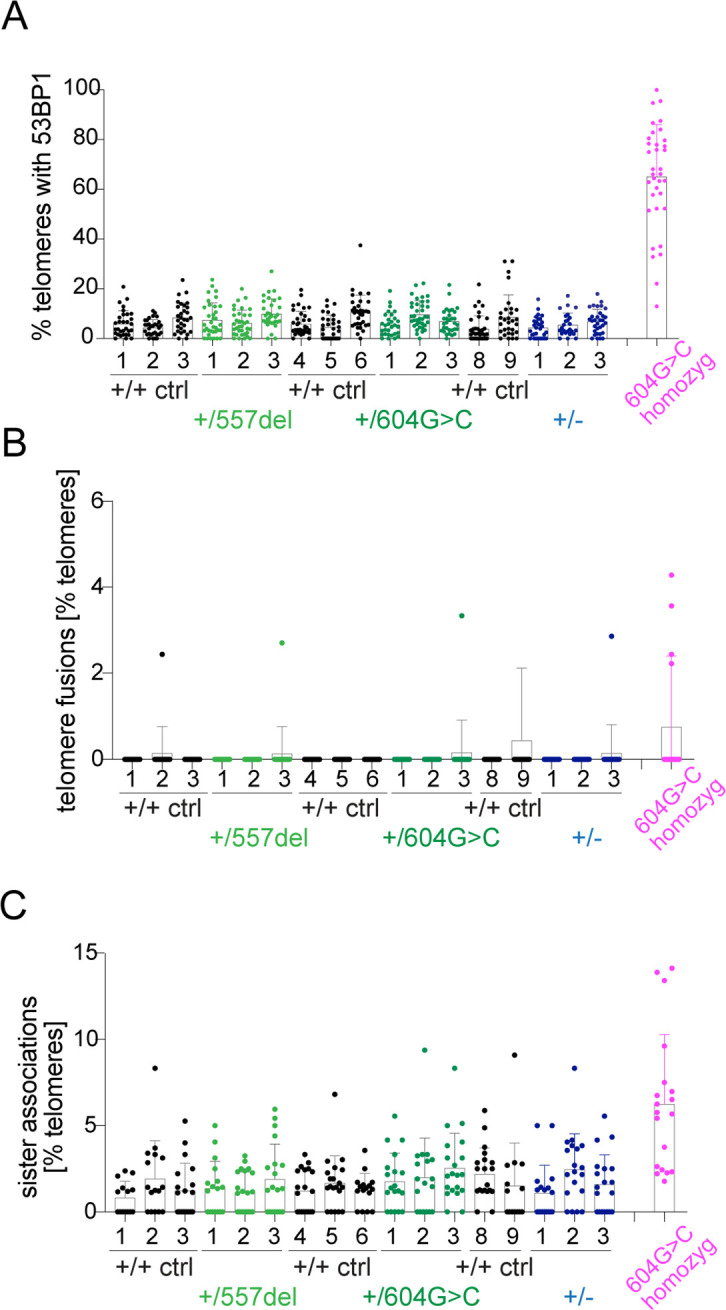 Figure 4—figure supplement 6.