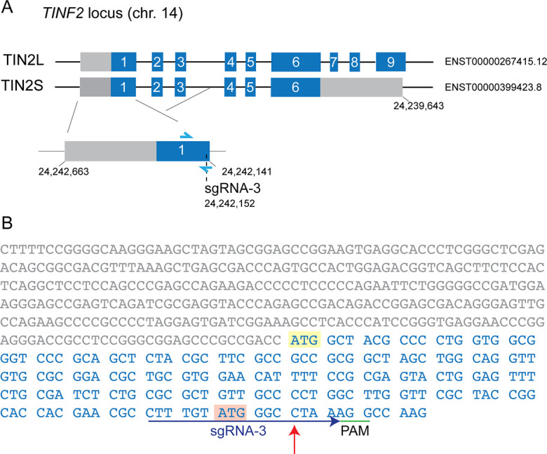 Figure 4—figure supplement 3.