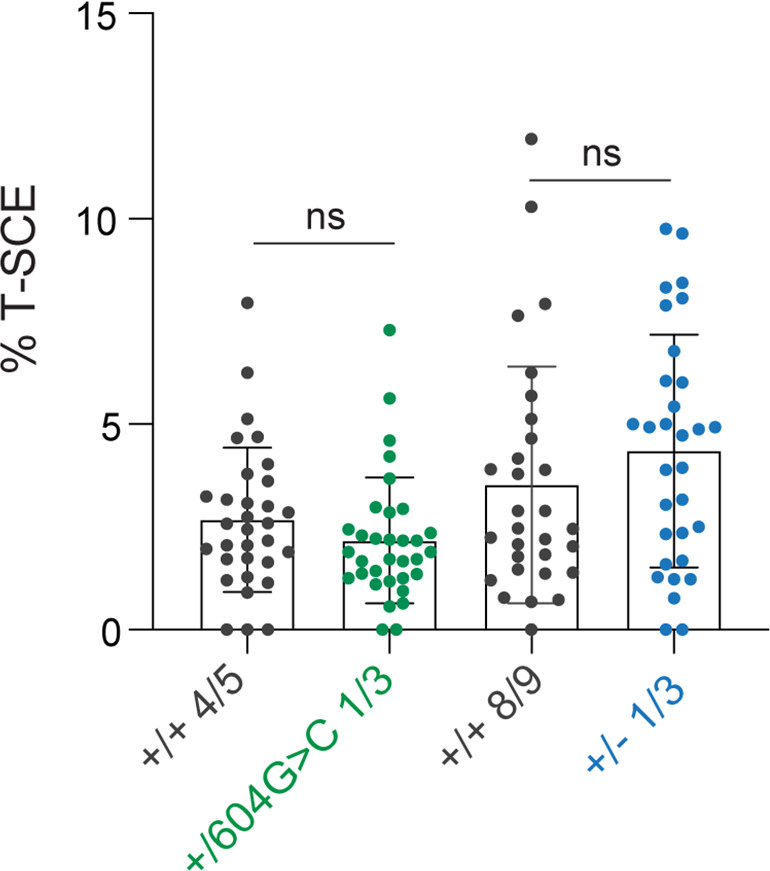 Figure 5—figure supplement 2.