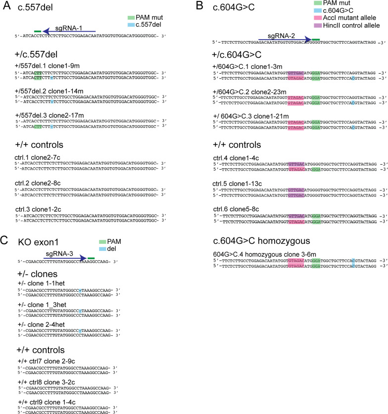 Figure 4—figure supplement 4.