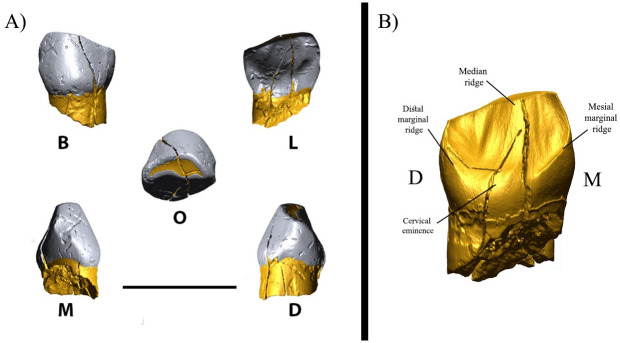 Fig 4