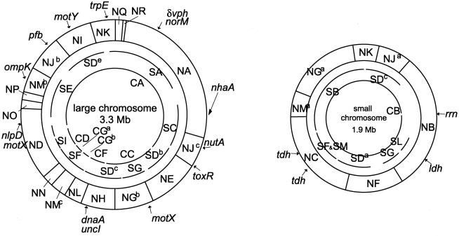 FIG. 2.