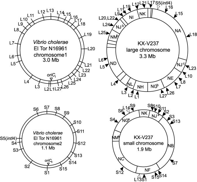 FIG. 4.