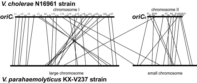 FIG. 5.