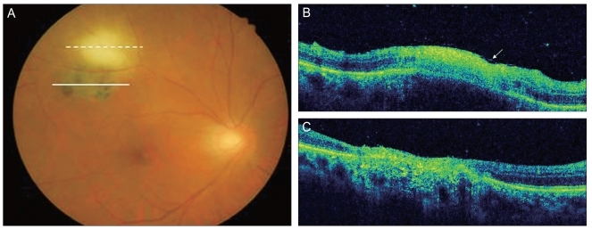 Fig. 2