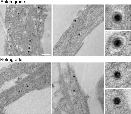 FIG. 7.