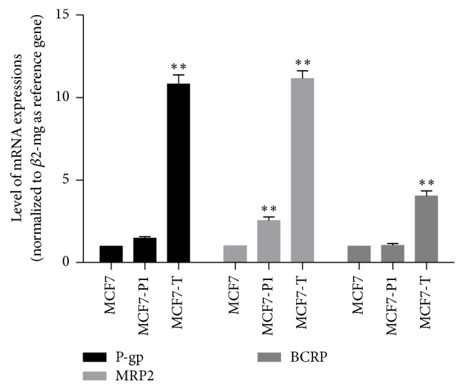 Figure 6