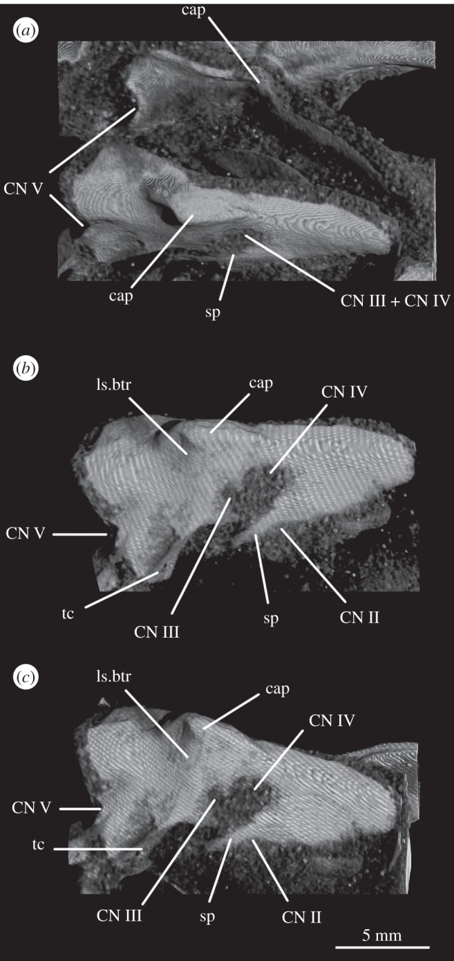 Figure 15.