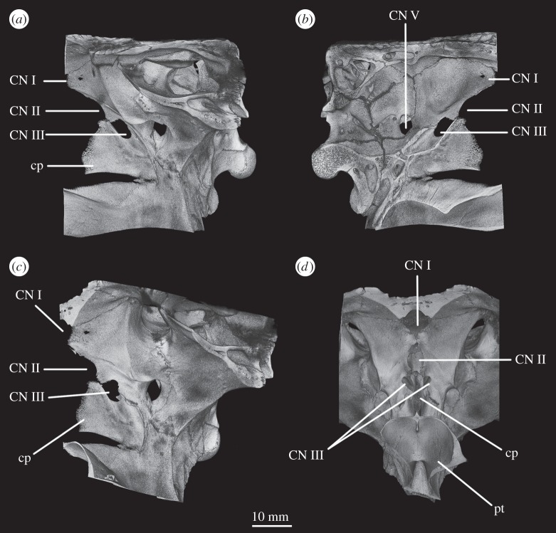 Figure 21.