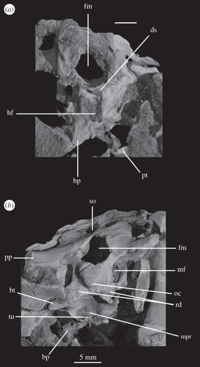 Figure 7.