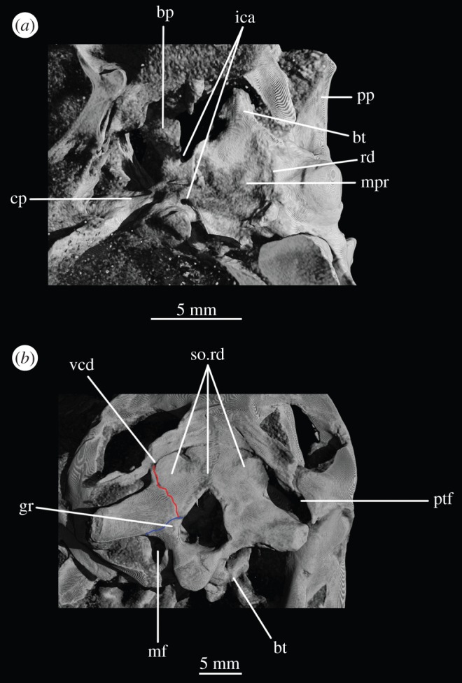 Figure 11.