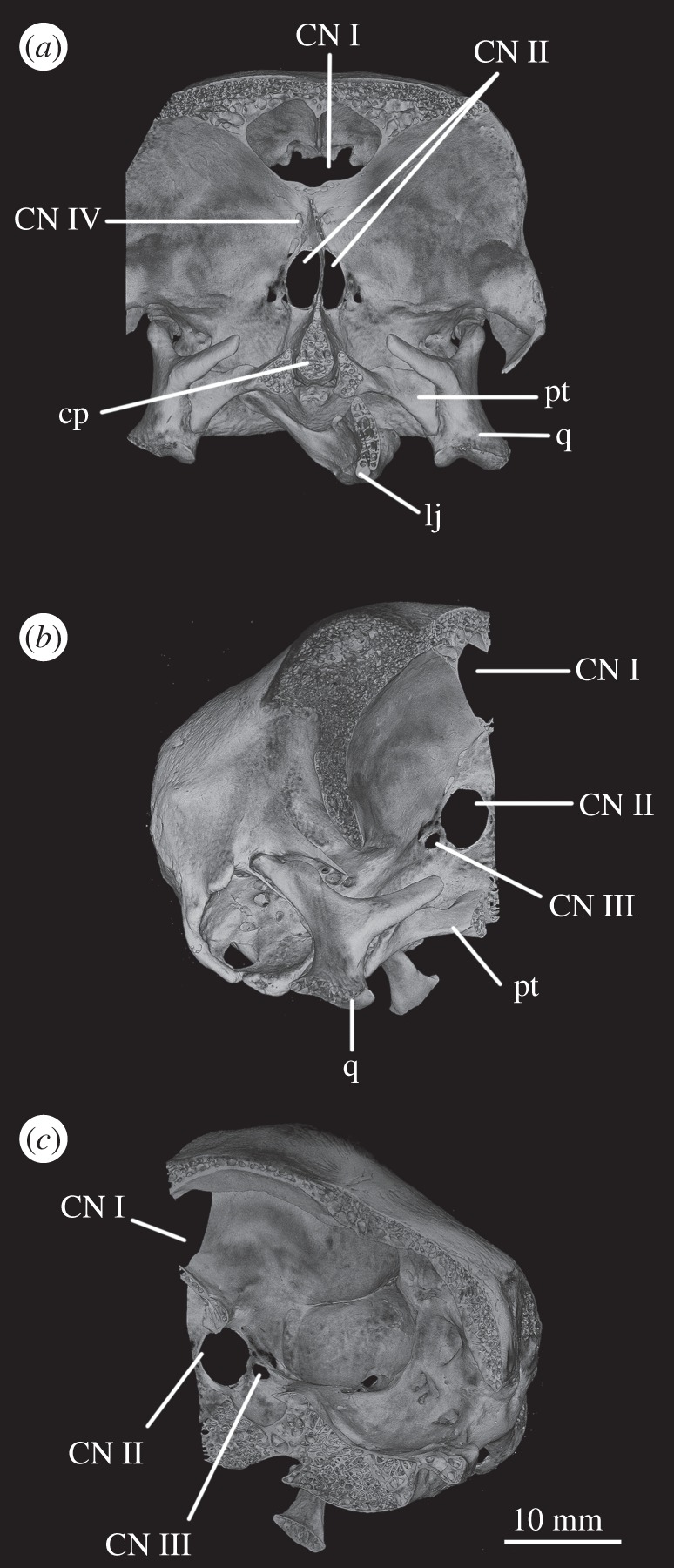 Figure 22.