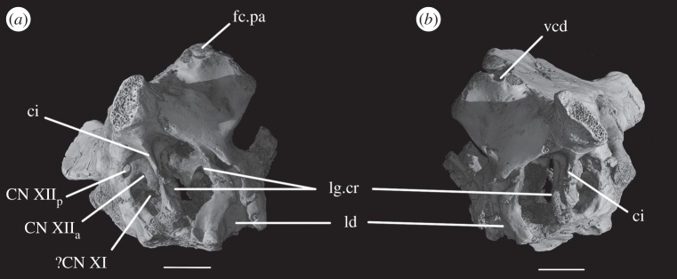 Figure 5.