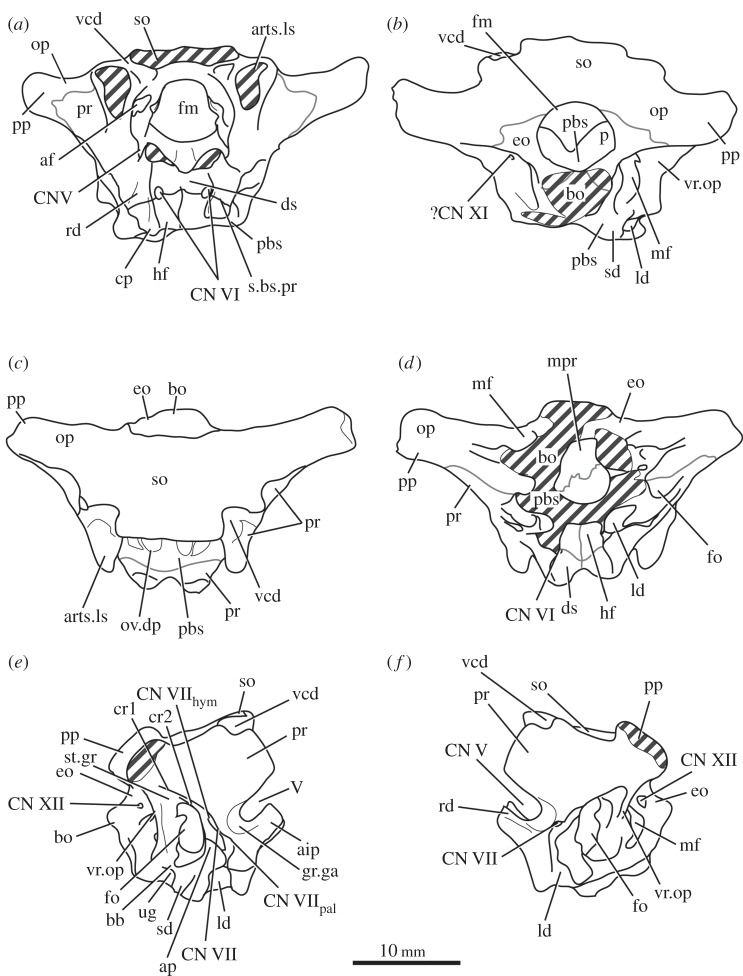 Figure 2.