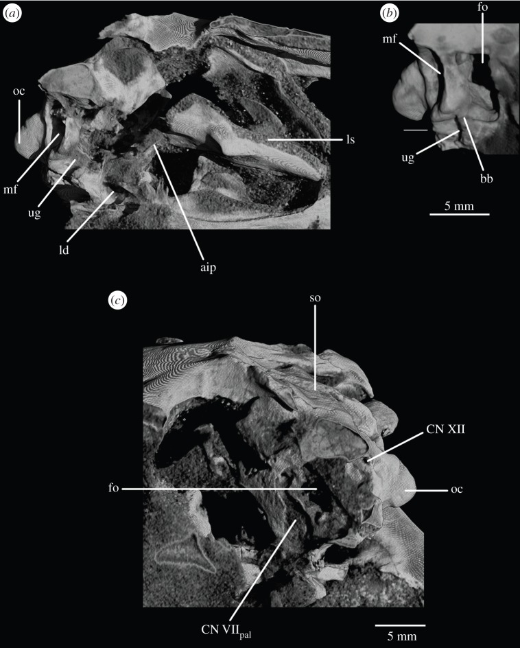 Figure 9.