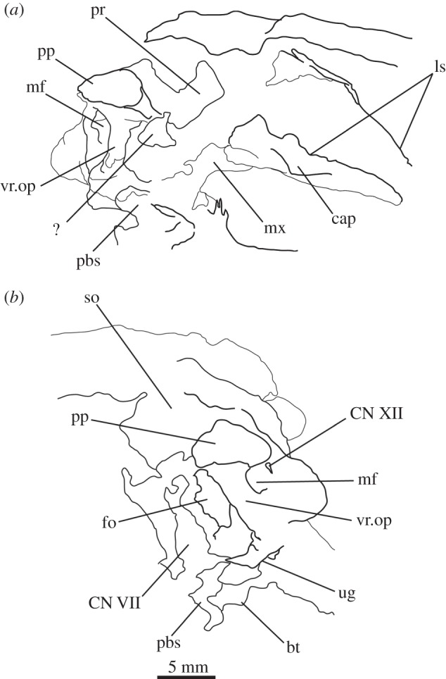 Figure 10.